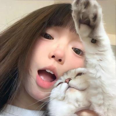 猫和老鼠:回到奥兹